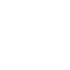 Pinterest Icon